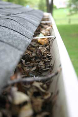 Three Reasons to Keep Your Gutters Clean