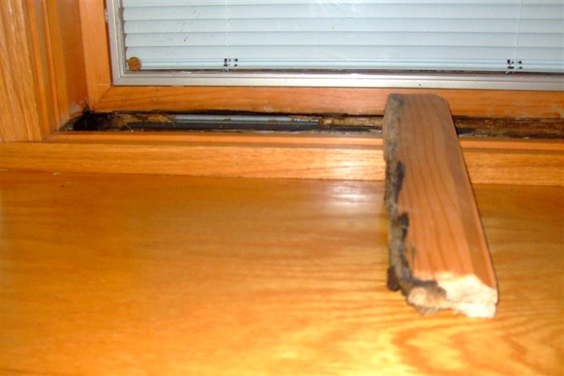 4 Signs That It’s Time to Replace Your Windows