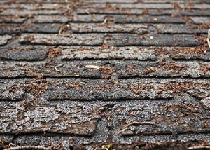 6 Signs Your Home Needs a New Roof