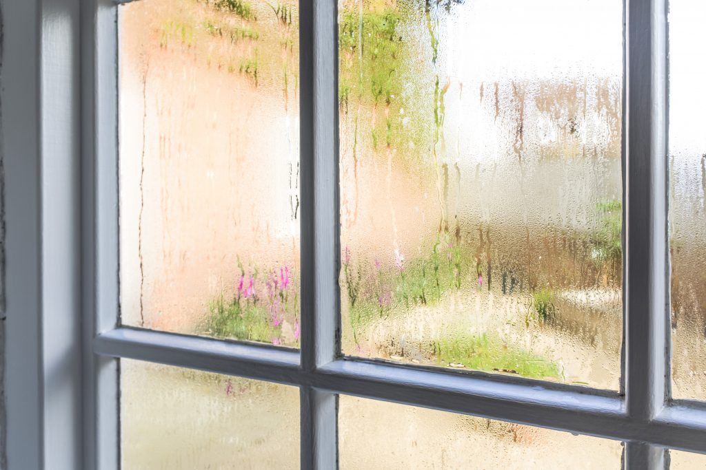 What You Need to Know About Condensation on Windows